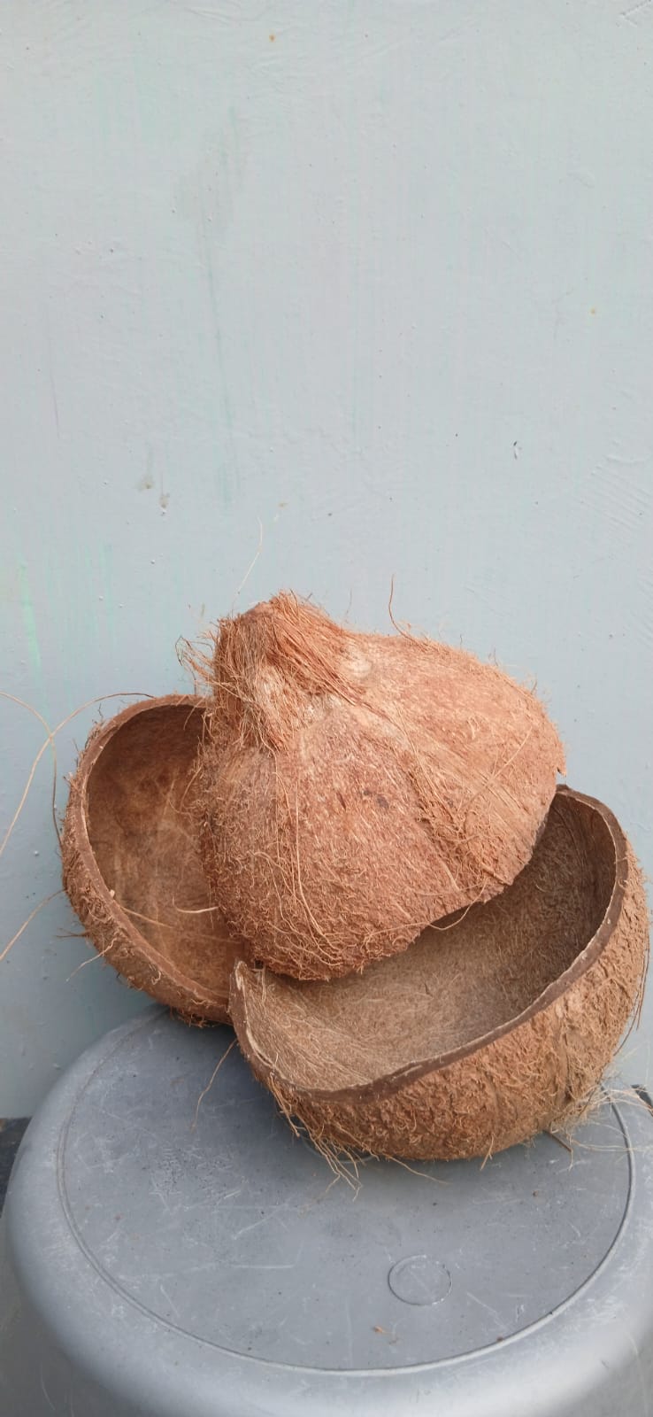 ARJO coconut charcoal production and packaging photo 4